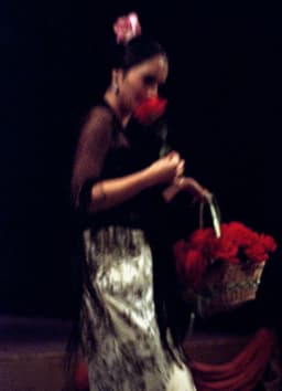 Spectacle Dolores En La Majeur