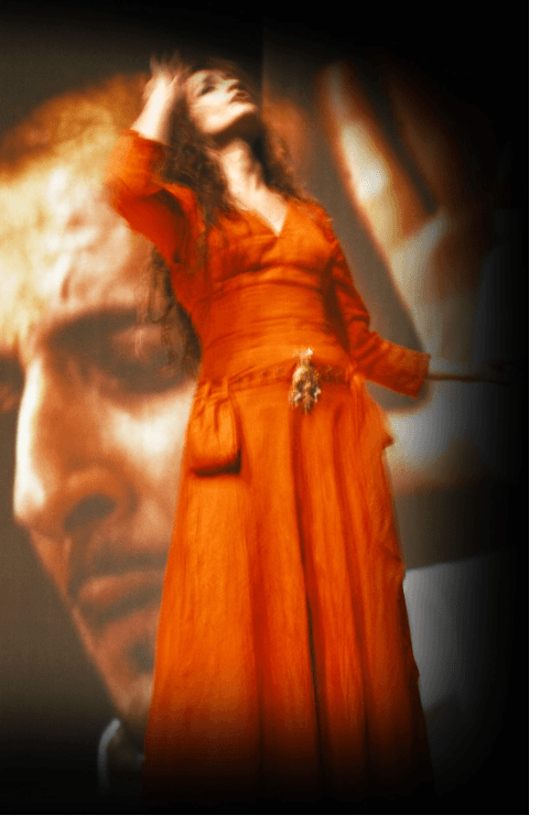 MEDEA IN SPAIN
